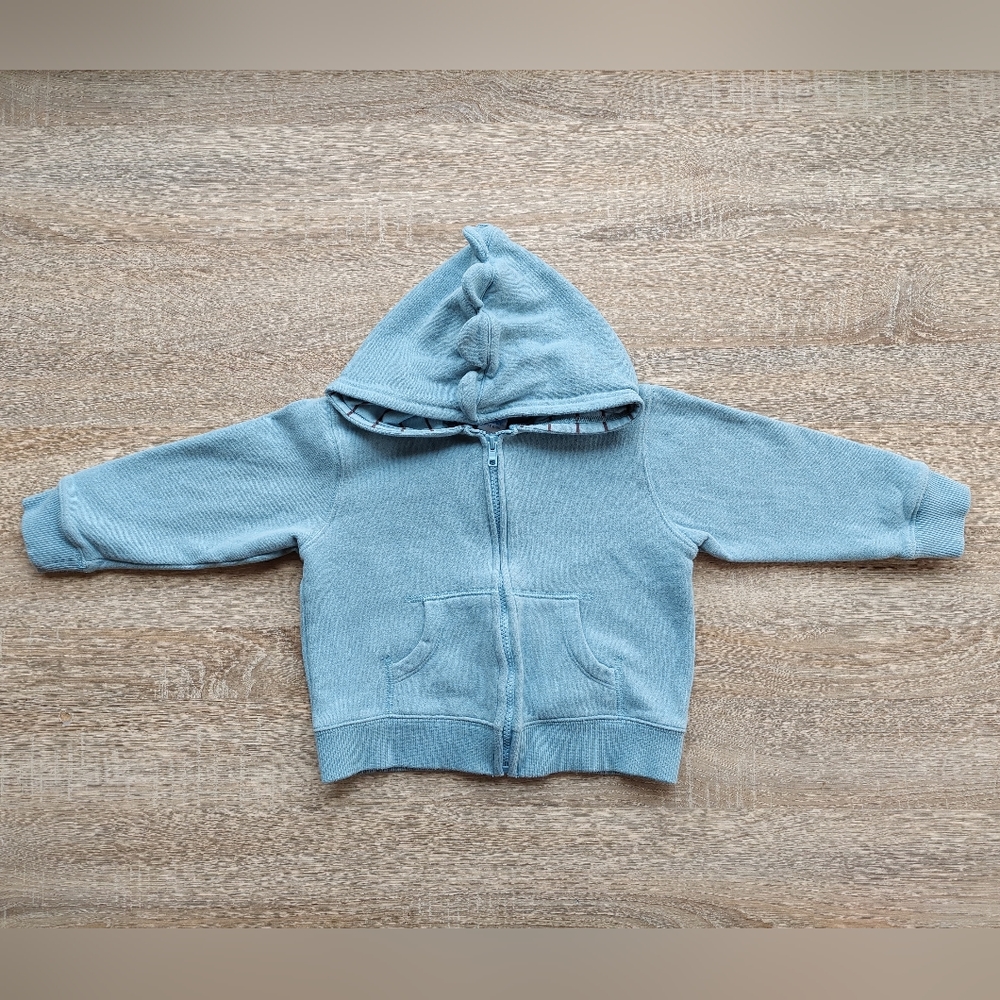 Rwar!!! Gymboree dinosaur hoodie 2T-3T - Picture 10 of 12